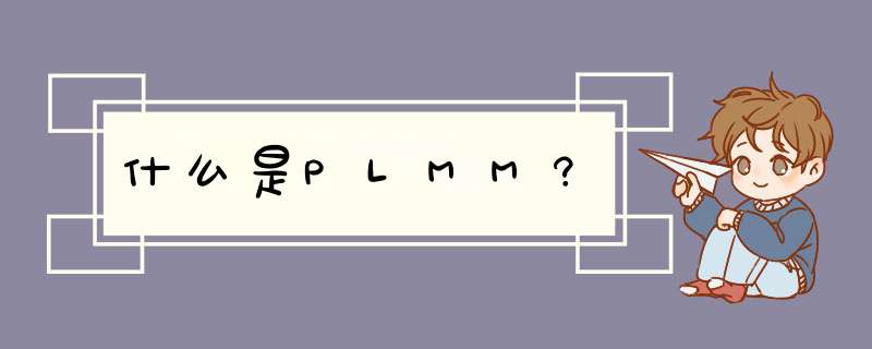 什么是PLMM?,第1张