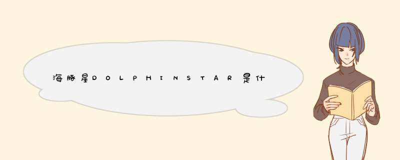 海豚星DOLPHINSTAR是什么档次？,第1张