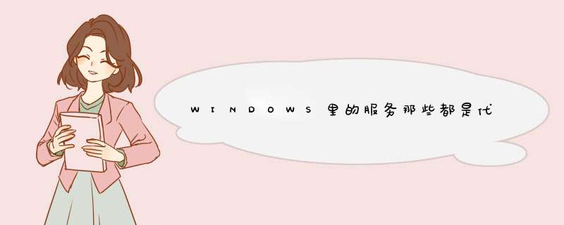 WINDOWS里的服务那些都是代表什么意思啊?,第1张