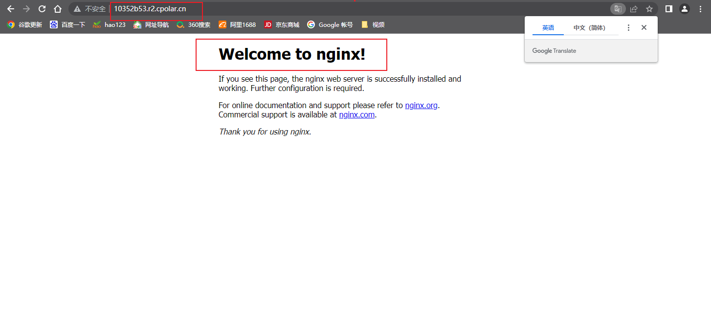 树莓派上使用Nginx通过内网穿透实现无公网IP访问内网本地站点,在这里插入图片描述,第7张