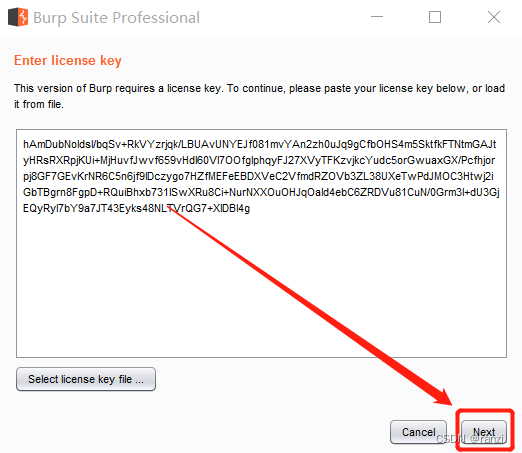 BurpSuite超详细安装教程-功能概述-配置-使用教程---(附下载链接),第29张