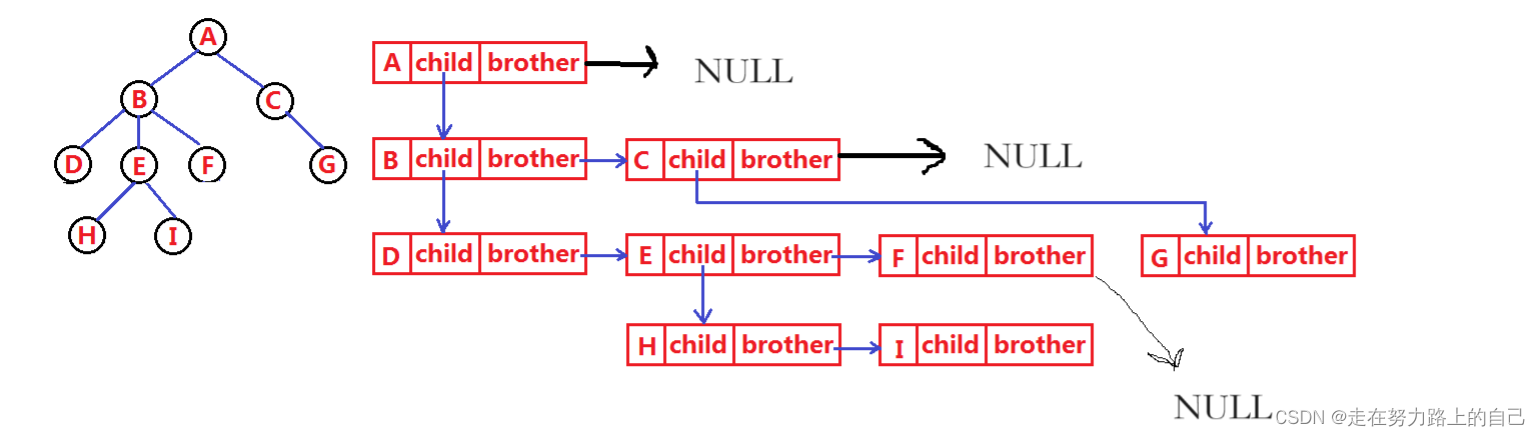 二叉树详解(深度优先遍历、前序，中序，后序、广度优先遍历、二叉树所有节点的个数、叶节点的个数),第6张