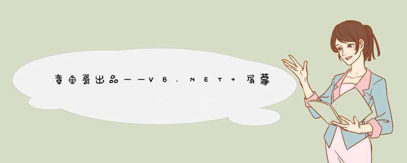 章鱼哥出品——VB.NET 屏幕自适应功能的实现,第1张
