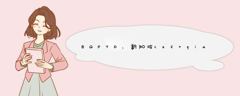BGPTO：新加坡cn2 gia日本软银服务器月;E3-1230v316G内存480gSSD,100M限3T月或10M不限,第1张