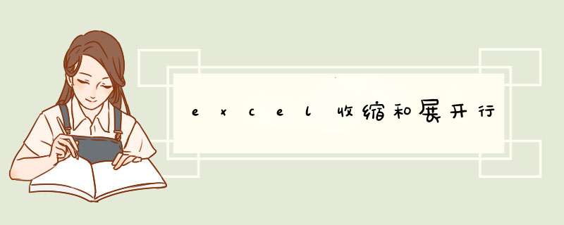 excel收缩和展开行,第1张