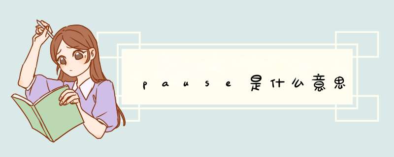 pause是什么意思,第1张