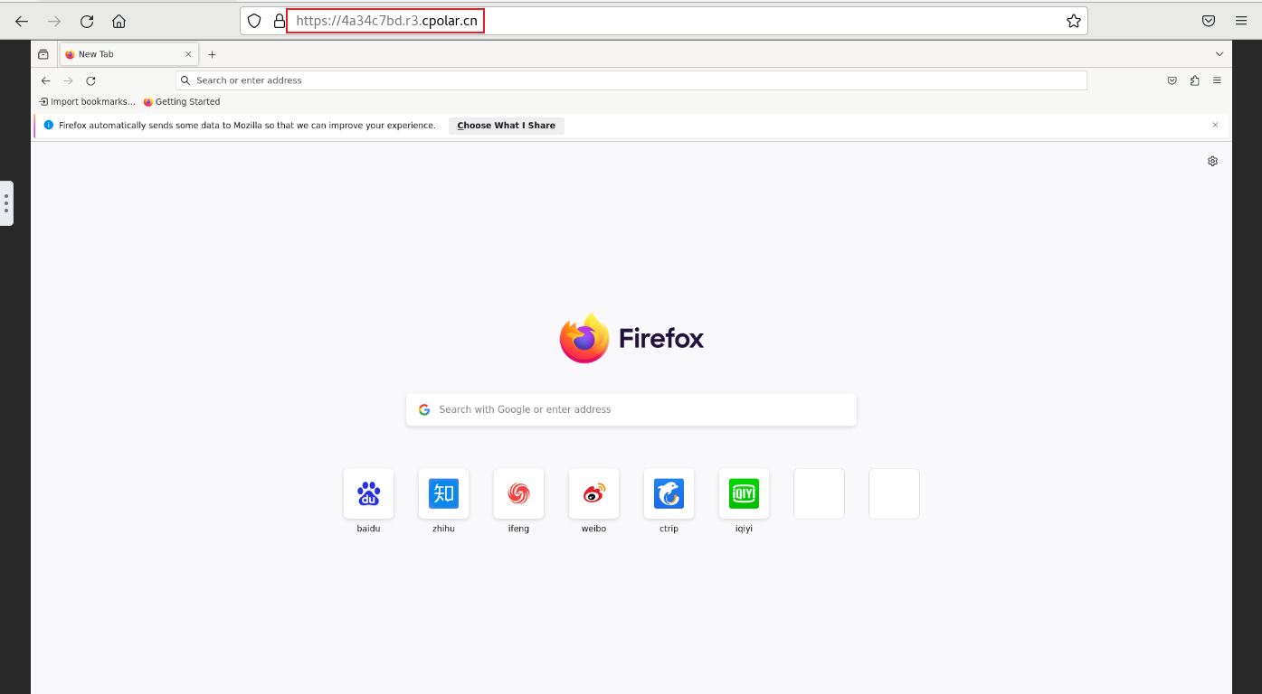 Docker本地部署开源浏览器Firefox并远程访问进行测试,image-20231127141903529,第8张